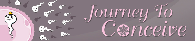 Journey to Conceive